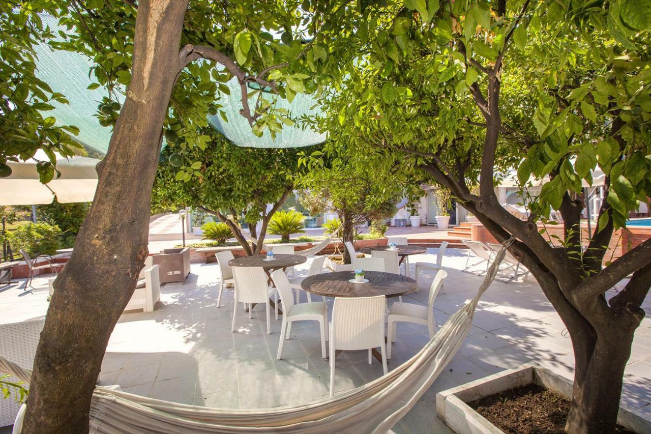 Amore Rentals - Villa Panorama Castellammare di Stabia Eksteriør billede