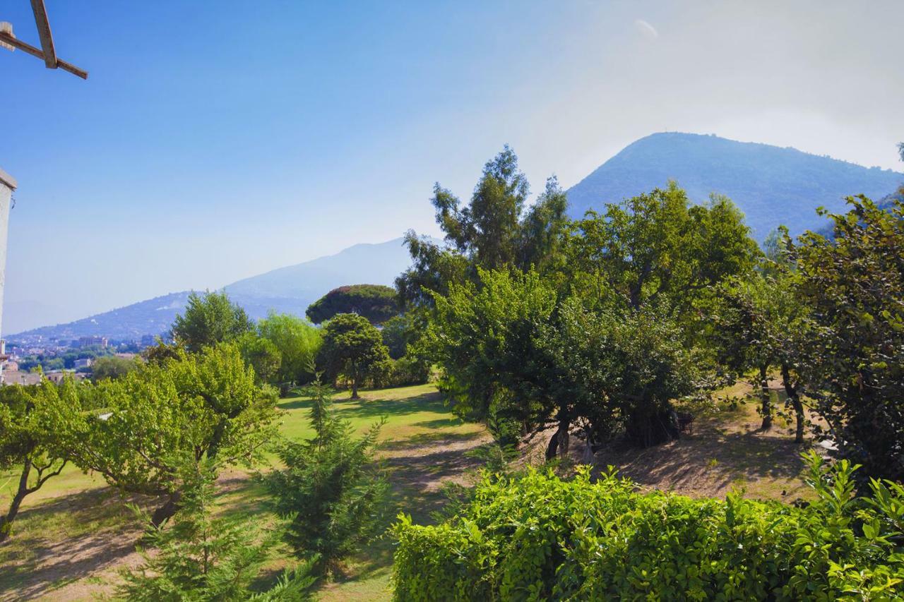 Amore Rentals - Villa Panorama Castellammare di Stabia Eksteriør billede